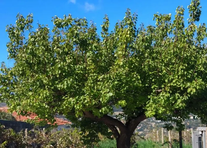 Azure Horizon Apartment, Kefalonia