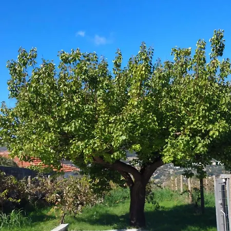 Azure Horizon Apartment, Kefalonia