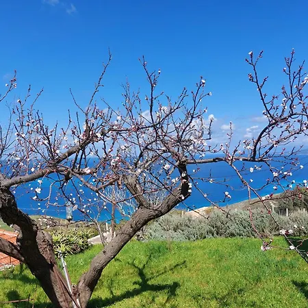 Azure Horizon - Panoramic Myrtos Sea View Apartment Angon